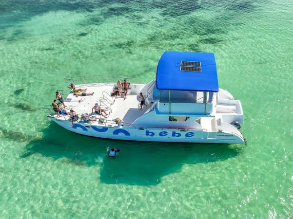 Custom Built 49 | Oly One