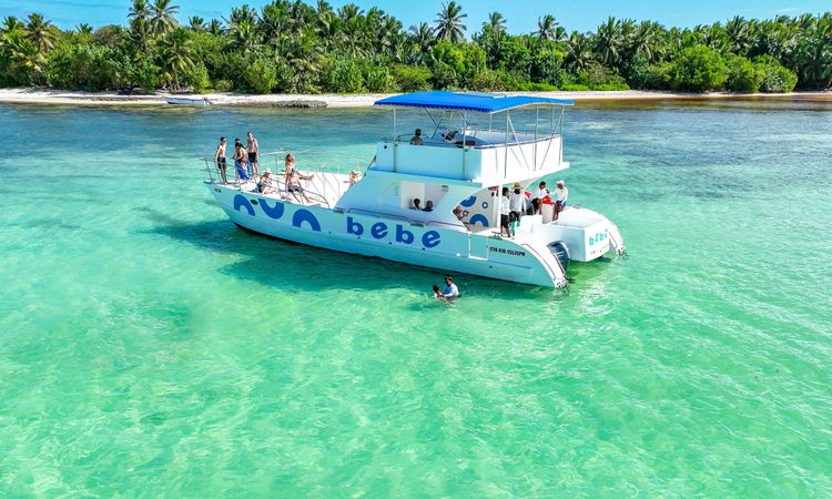 Custom Built 49 | Oly One