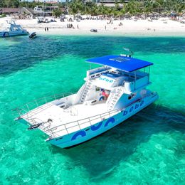 Custom Built 49 | Oly One