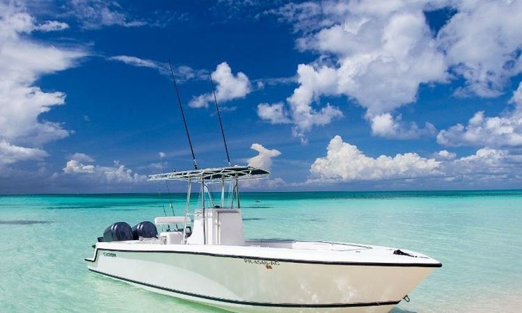 Contender 28 | T/T Tati Way