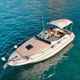 Sea Ray 290 | Mr. Bombastic