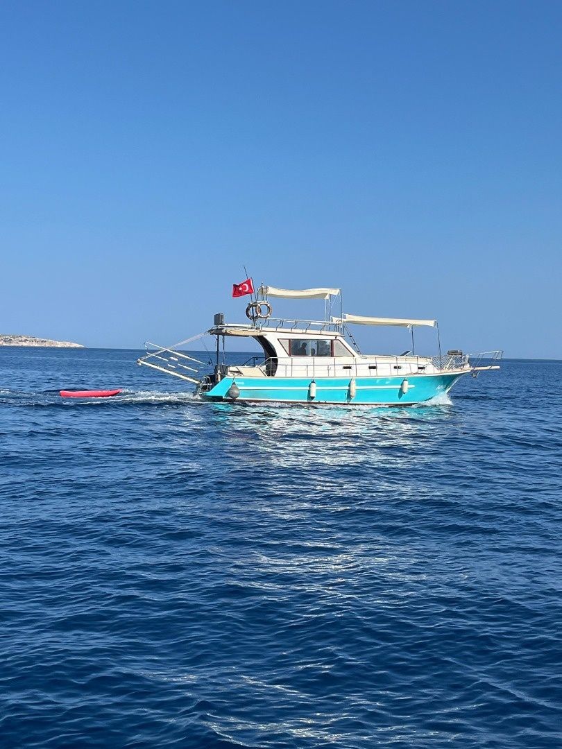 Custom Built 33 | Naia