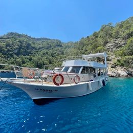 Custom Built 49 | Angel-M