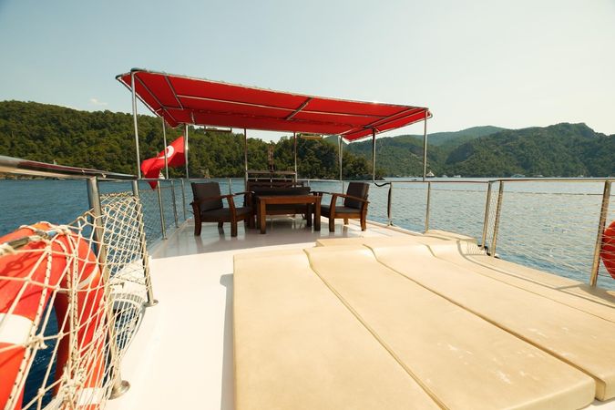 Custom Built 42 | Mr Dolphin