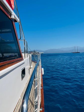 Custom Built 42 | Mr Dolphin