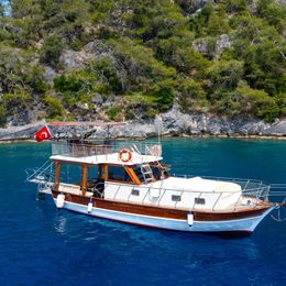 Custom Built 42 | Mr Dolphin