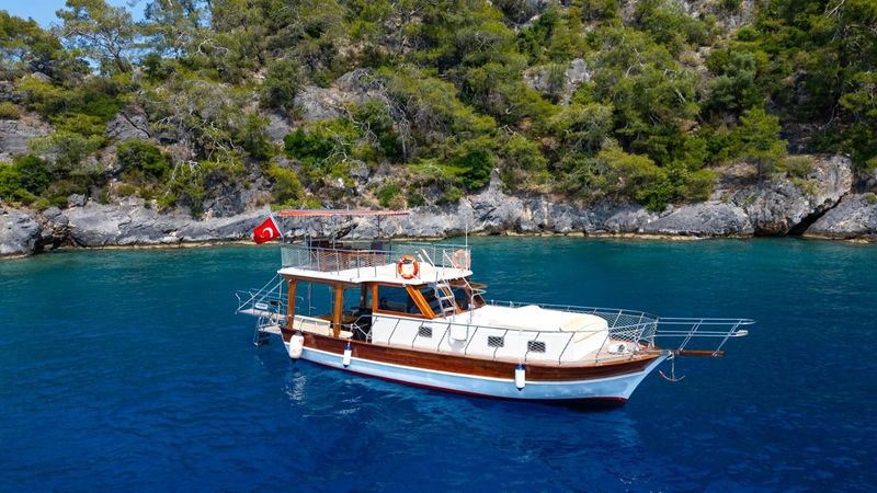 Custom Built 42 | Mr Dolphin