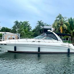Sea Ray 410 Sundancer | Cleaning up