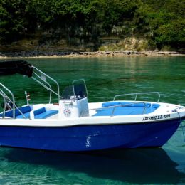 Proteus Limeni 500 | Artemis