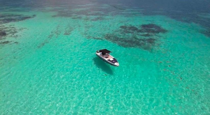 Wellcraft Scarab 30 | Coral