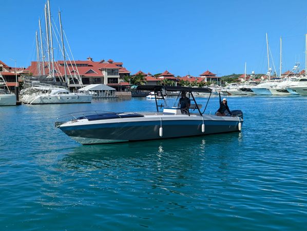 Wellcraft Scarab 30 | Coral