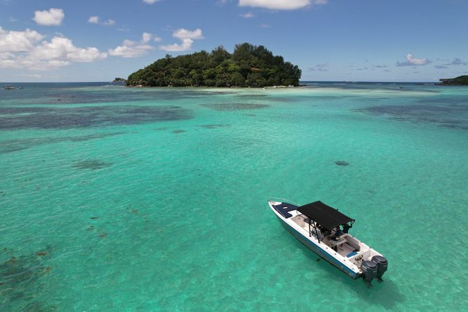 Wellcraft Scarab 30 | Coral