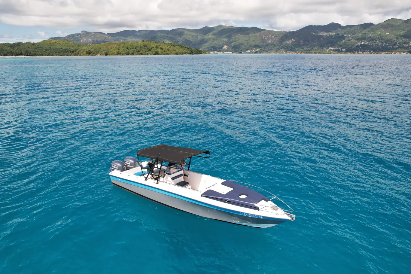 Wellcraft Scarab 30 | Coral