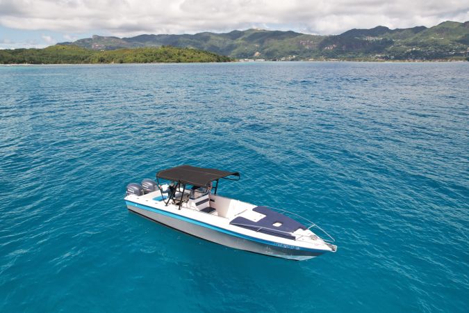 Wellcraft Scarab 30 | Coral