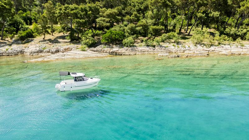 DarekCo Texas 540 | 24