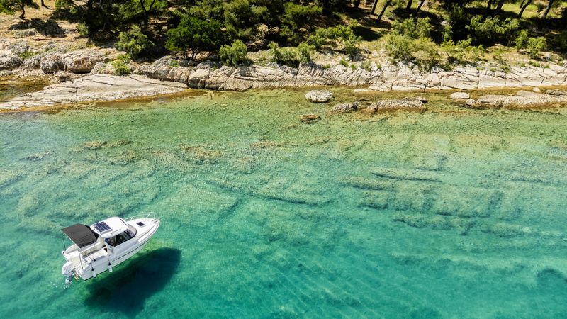 DarekCo Texas 540 | 24