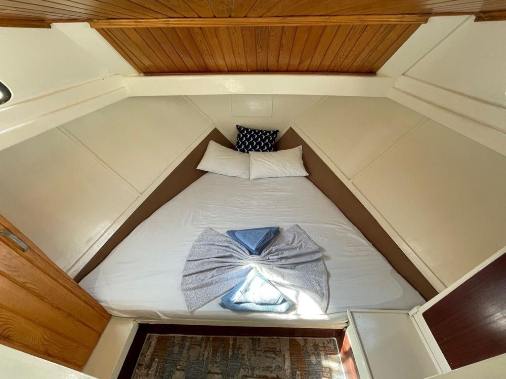 Custom Built 62 | One Piece