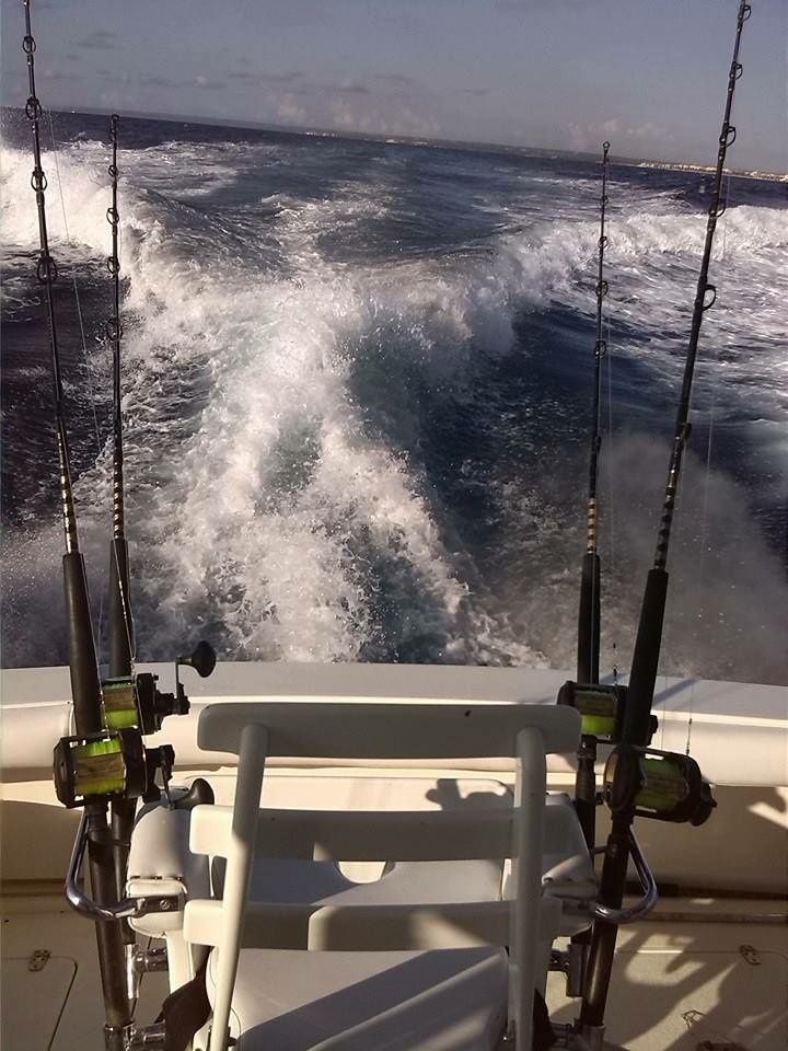 Black Fin 38 | Predator