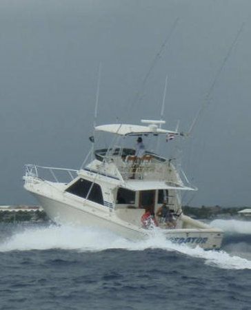 Black Fin 38 | Predator