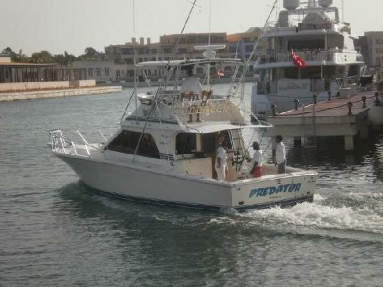 Black Fin 38 | Predator