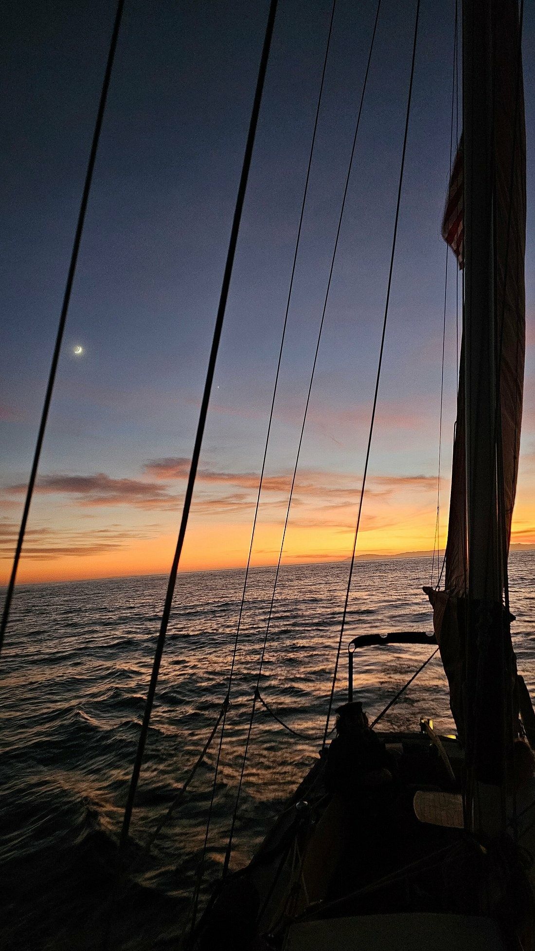 Custom Built 36 | Lively