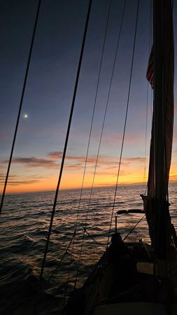 Custom Built 36 | Lively