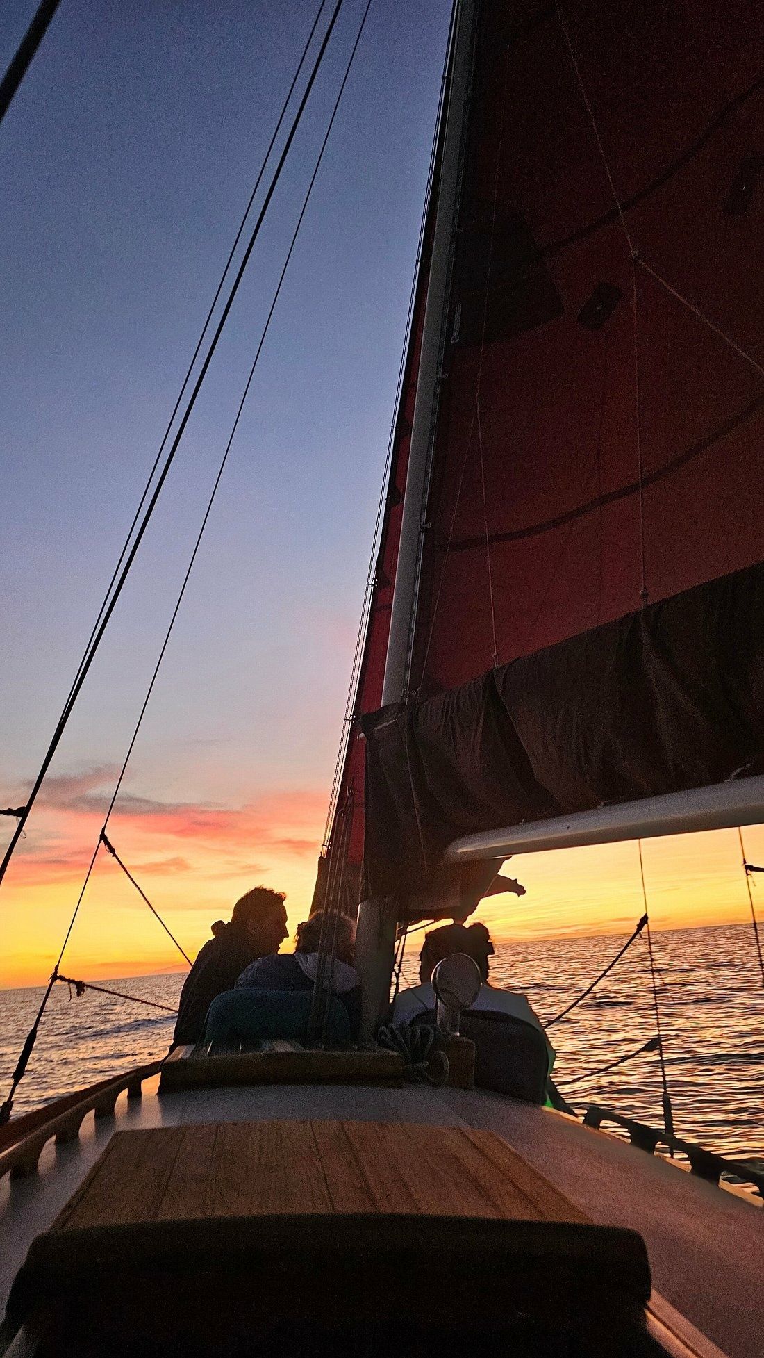 Custom Built 36 | Lively