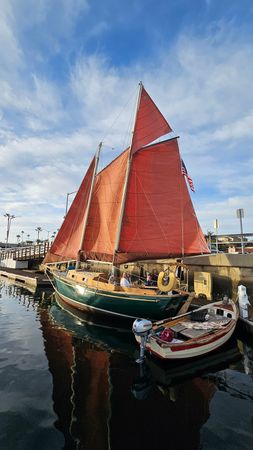 Custom Built 36 | Lively