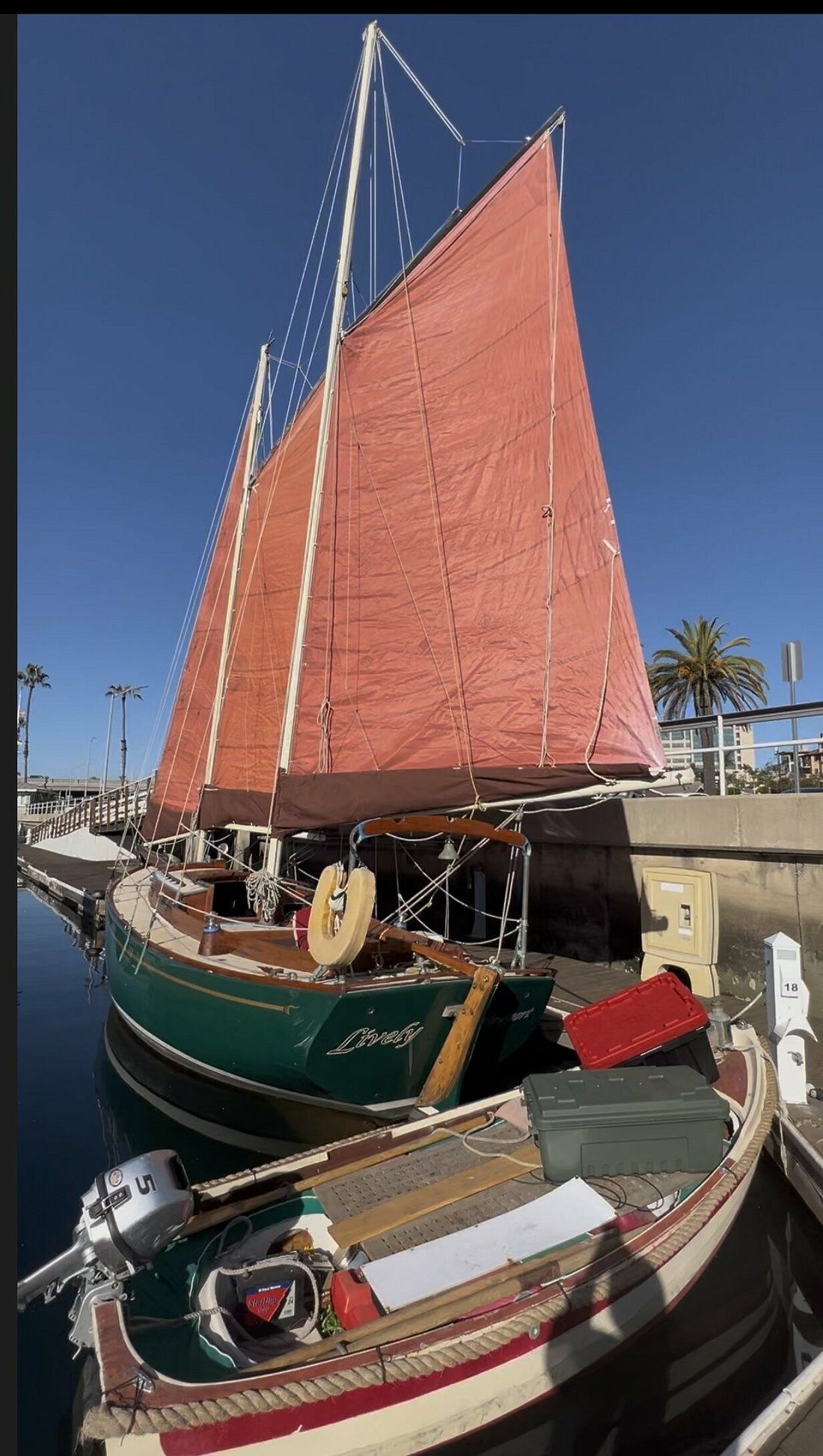 Custom Built 36 | Lively