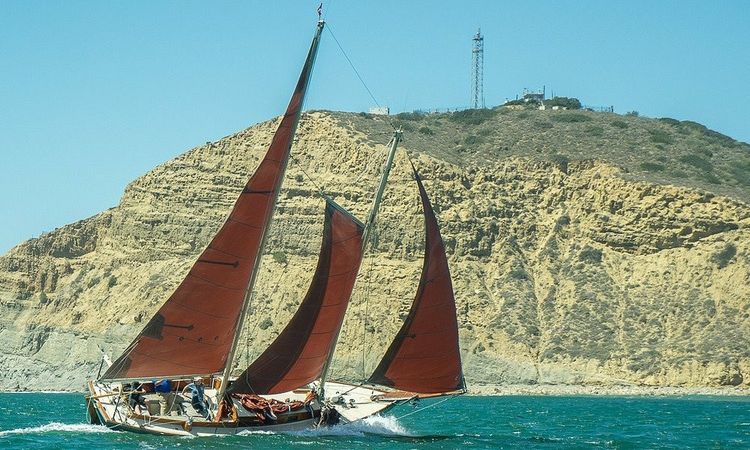 Custom Built 36 | Lively