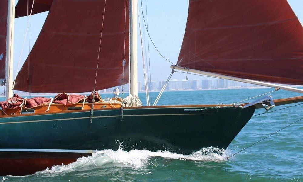 Custom Built 36 | Lively