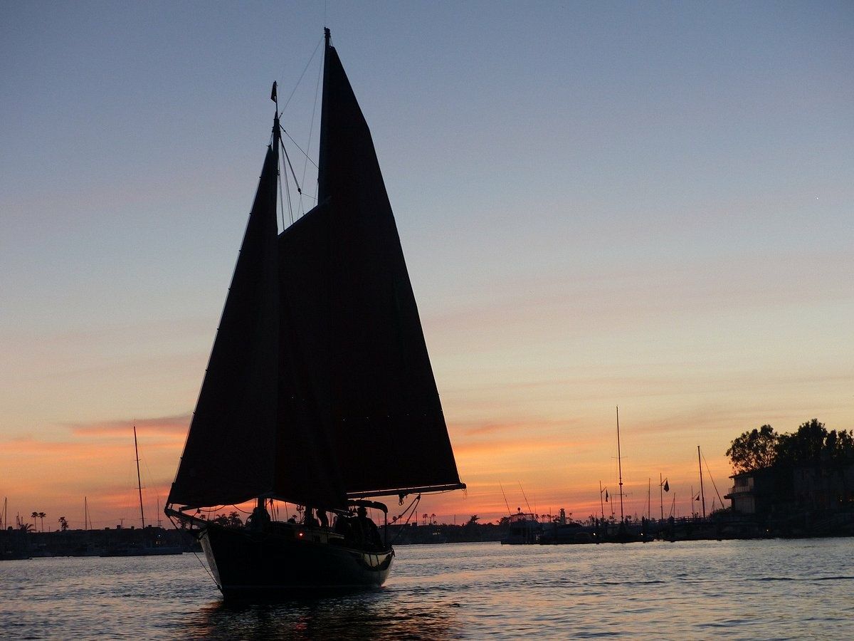 Custom Built 36 | Lively