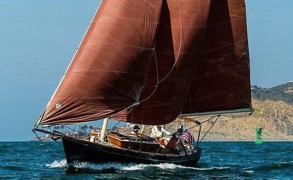 Custom Built 36 | Lively