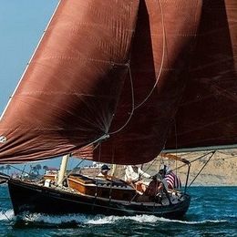 Custom Built 36 | Lively