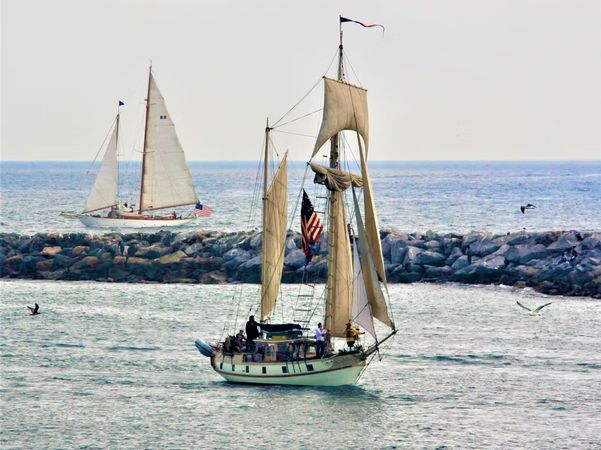 Custom Built 40 | The Mayflower