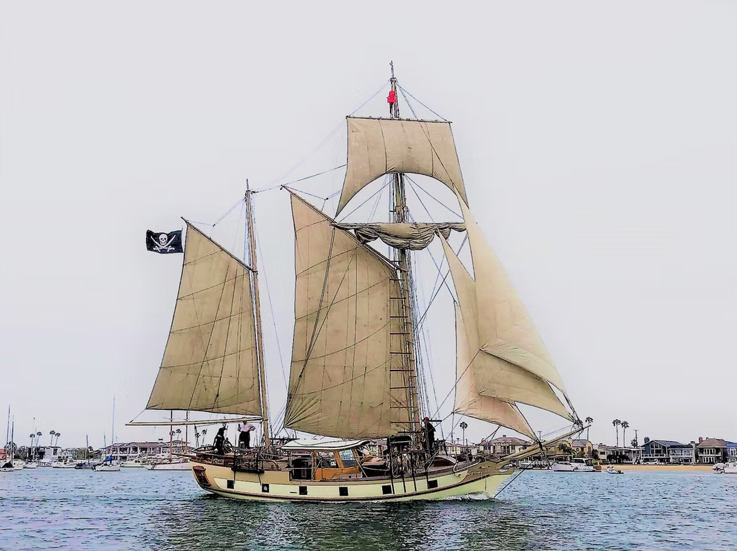 Custom Built 40 | The Mayflower