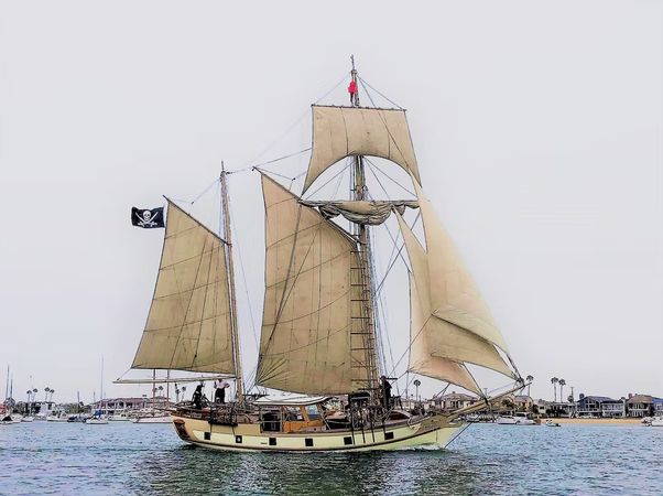 Custom Built 40 | The Mayflower