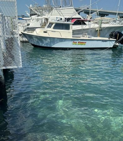 Parker 2820 XLD | Cool Runnings