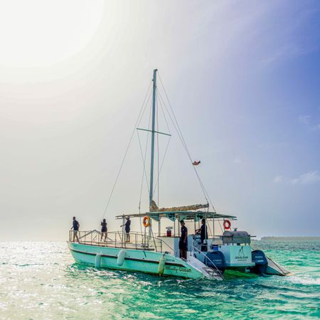 Custom Built 60 | Infinity Ocean