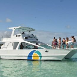 Custom Built 60 | Liberty