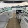 Sea Ray 300 | Godiva