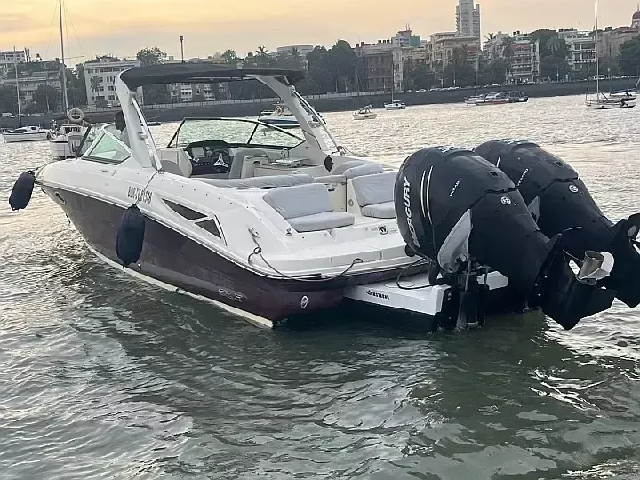 Sea Ray 300 | Godiva