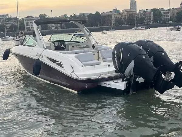 Sea Ray 300 | Godiva