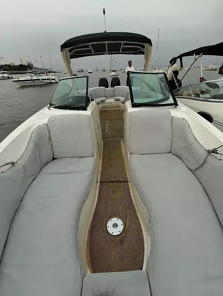 Sea Ray 300 | Godiva