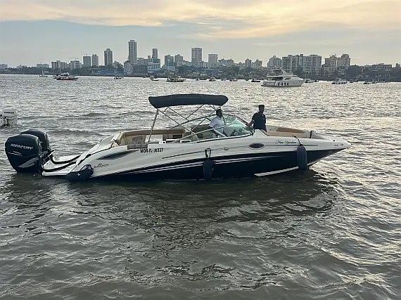 Sea Ray 290 | New Yorker