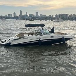 Sea Ray 290 | New Yorker