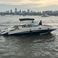 Sea Ray 290 | New Yorker