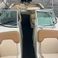 Sea Ray 290 | New Yorker