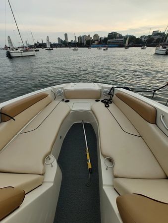 Sea Ray 290 | New Yorker
