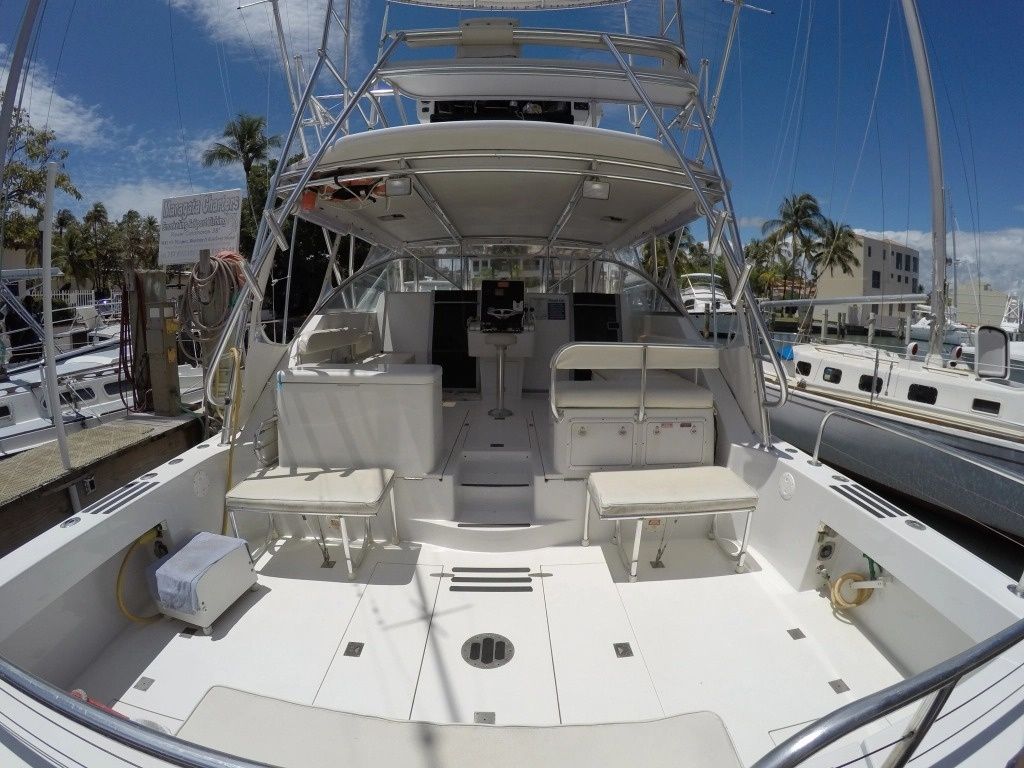 Benchmark 38 | Matt's Cat